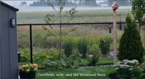 Read more about the article Serendipity