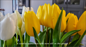 Read more about the article Taking a pause