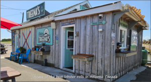 Read more about the article The Official Lobster Roll Survey